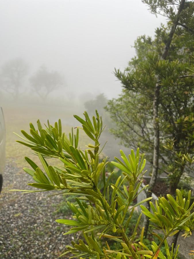 Shan Jhong You You B&B Lugu Exterior foto